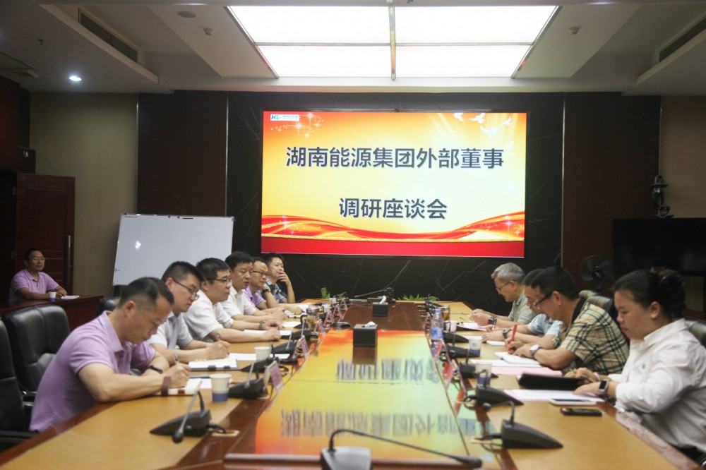 湖南能源集团外部董事调研华磊光电